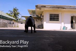 Bakyard Play