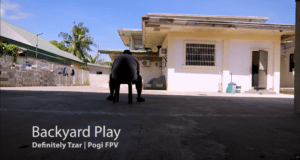 Bakyard Play
