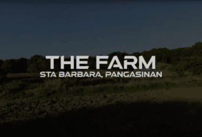 Sta Barbara Marga-Rina Farm